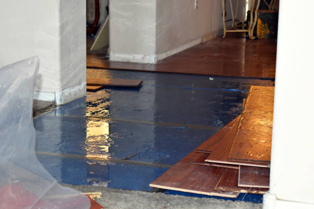 Professional Sewage Cleanup technician working in New Boston, OH